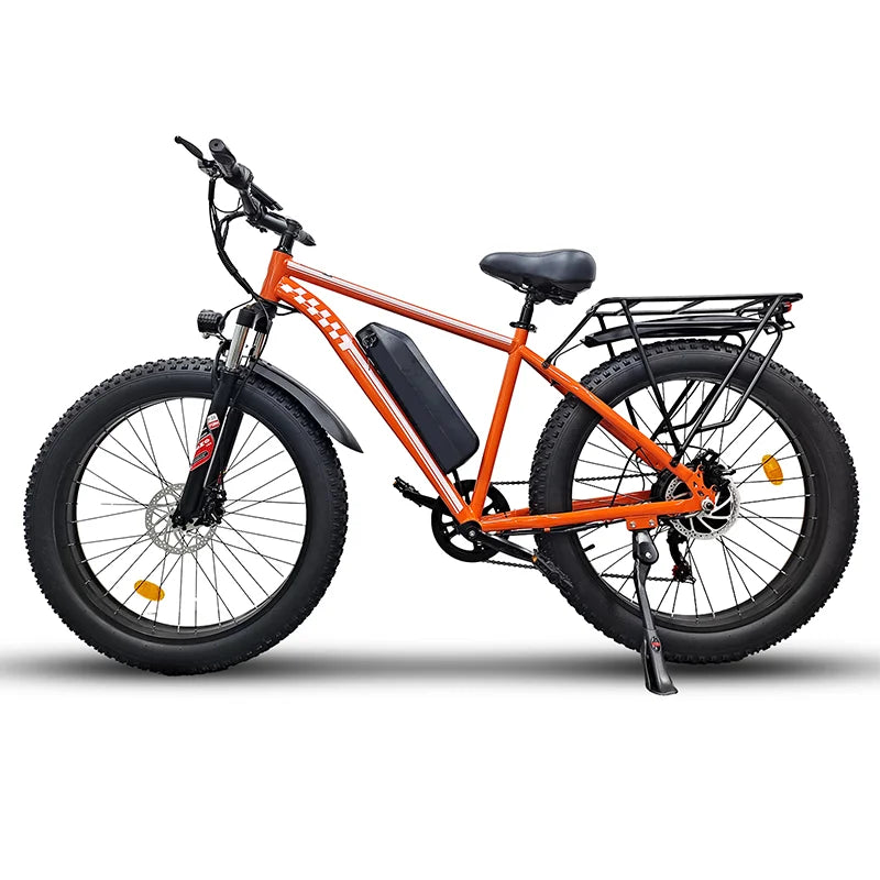 Electric Fat Tire 1000W 48V E Bike With Dual Suspension