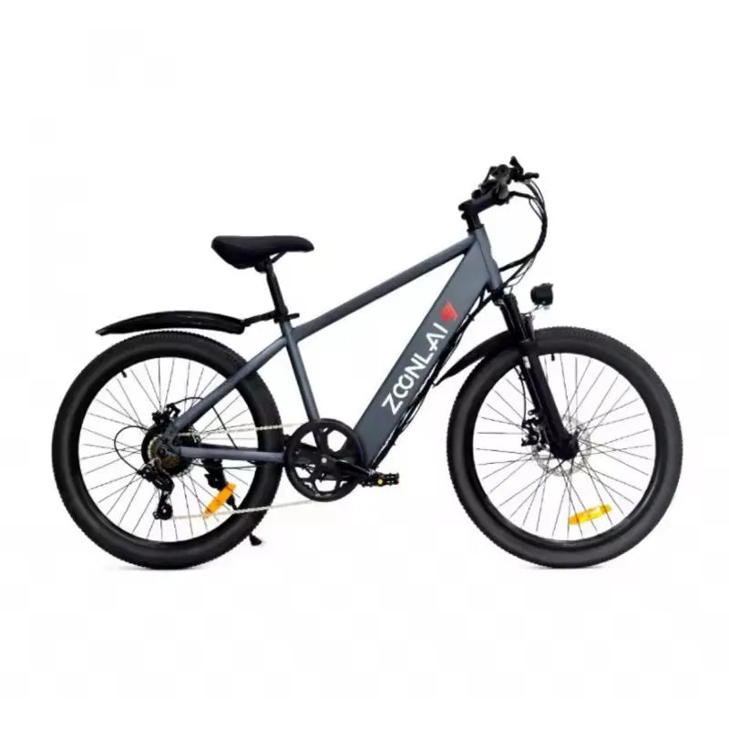 ENGWE E26 Electric Bicycle 500W 36V 10Ah Battery Efficient