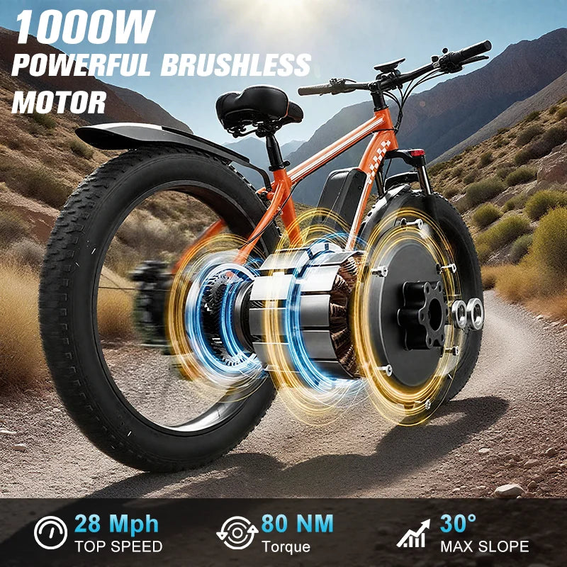 Electric Fat Tire 1000W 48V E Bike With Dual Suspension