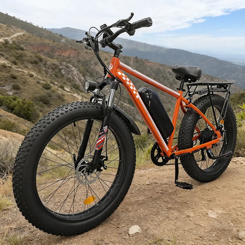 Electric Fat Tire 1000W 48V E Bike With Dual Suspension