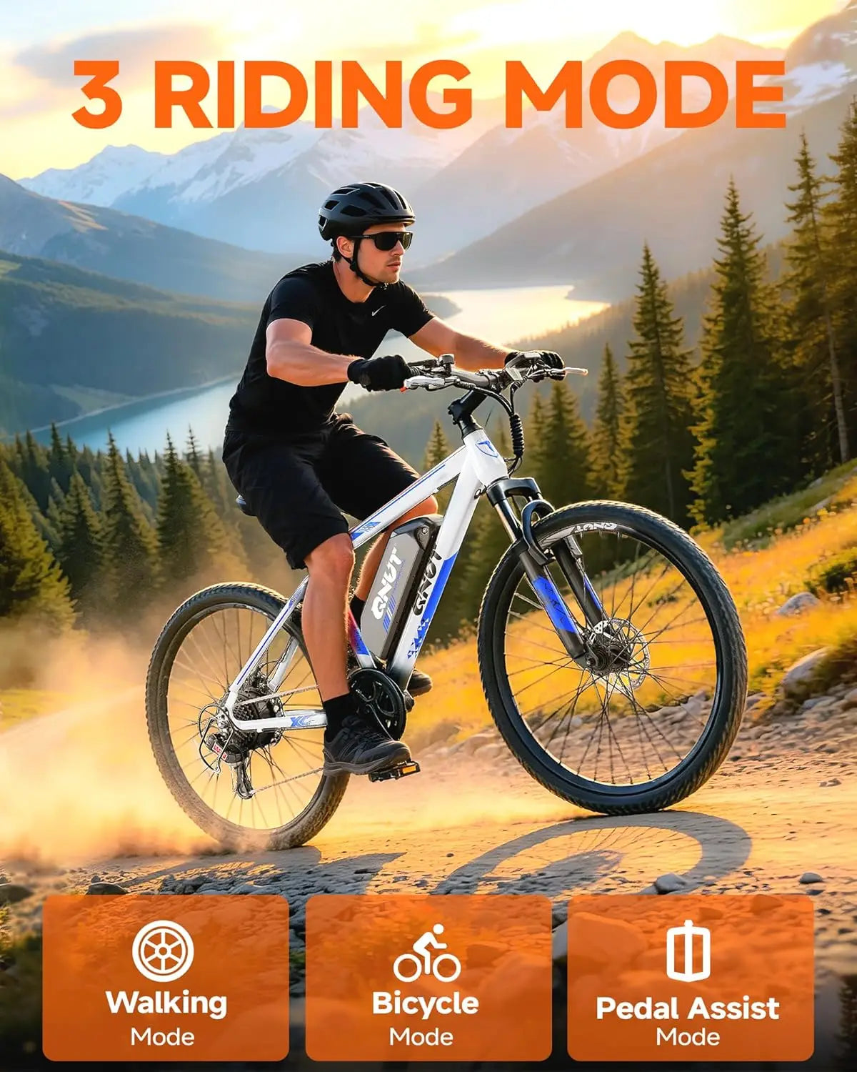 Victor Mountain Electric Bike With 1000W Peak Motor Removable Battery