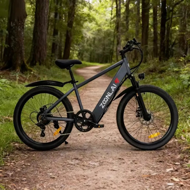 E26 Electric Bicycle 500W 36V 10Ah Lithium Battery