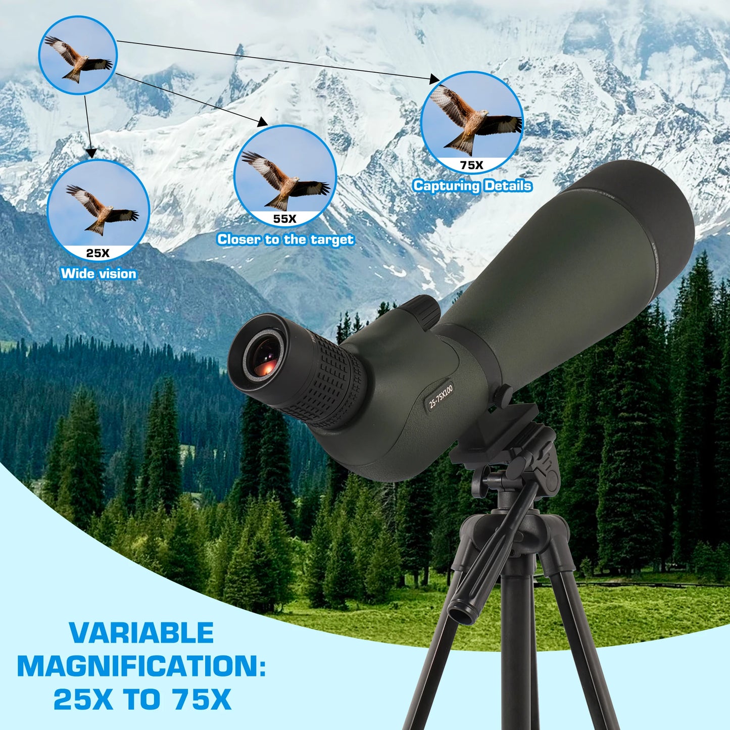KEDIL Angled Spotting Scope With Tripod Phone Adapter