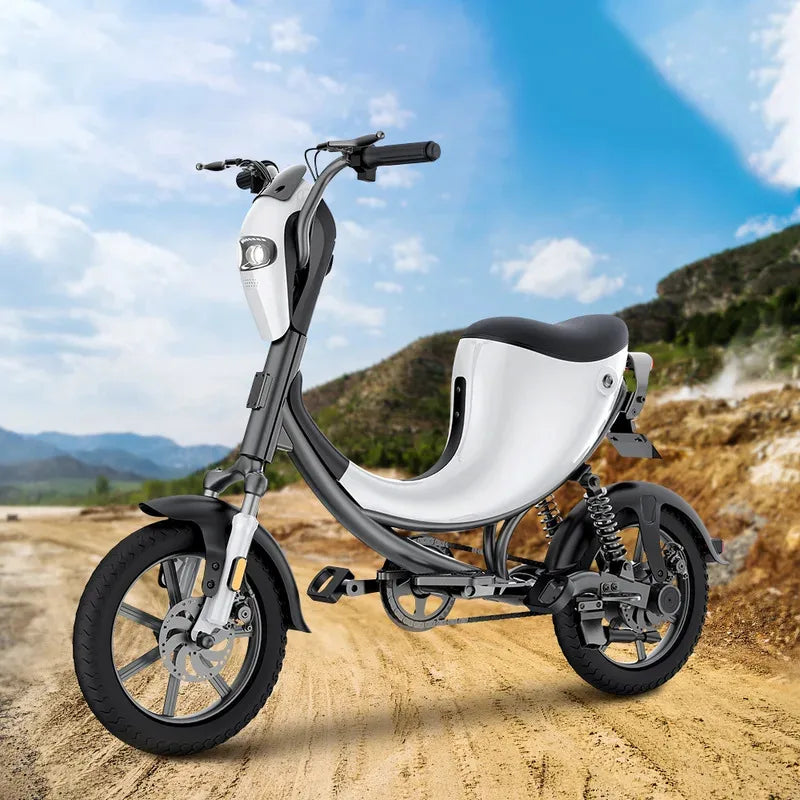 48V 12.6Ah Shock Absorbing Electric Bicycle 400W Brushless Motor