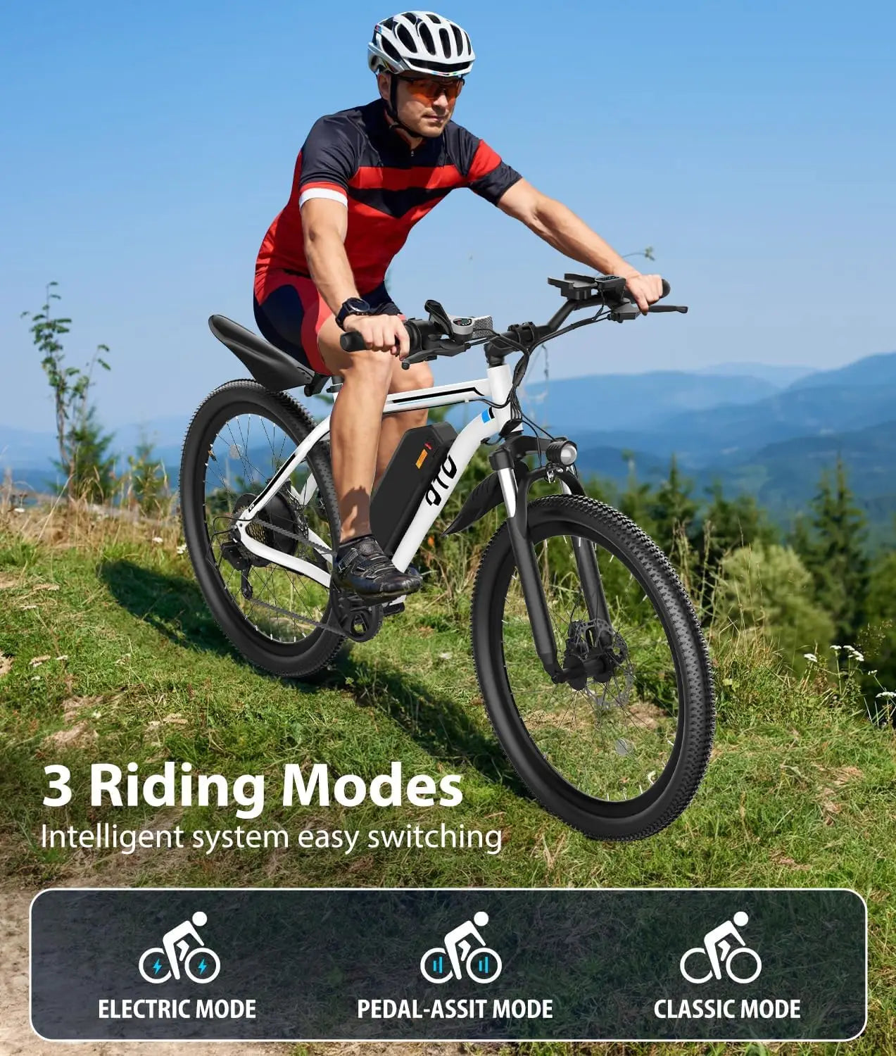Electric Mountain E-Bike 1200W Peak 28 MPH 90 Mile Range