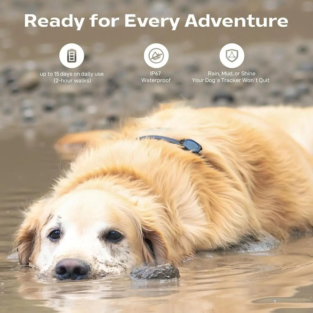 Outdoor GPS Dog Tracker Real Time Pet Locator for No Signal Areas