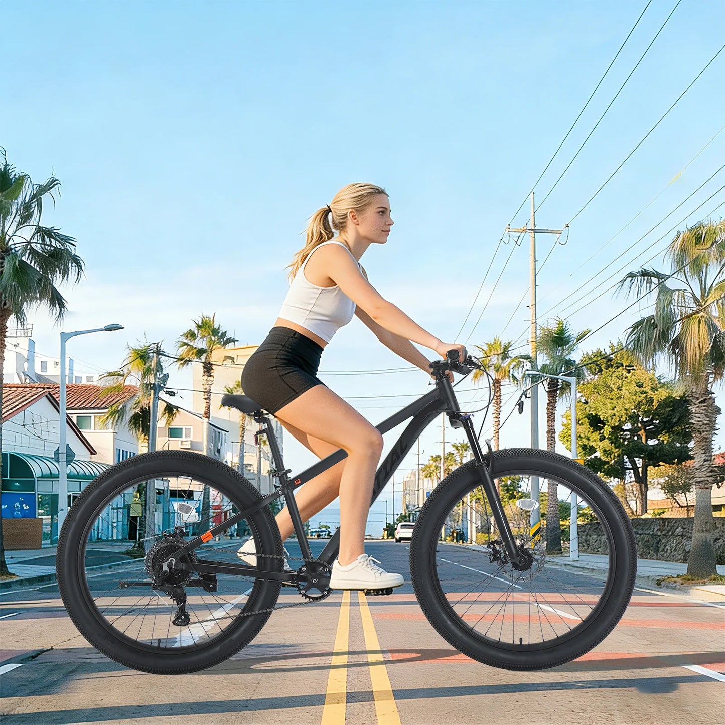 Spatial Fat Tire Mountain Bike With Aluminum Frame Disc Brakes