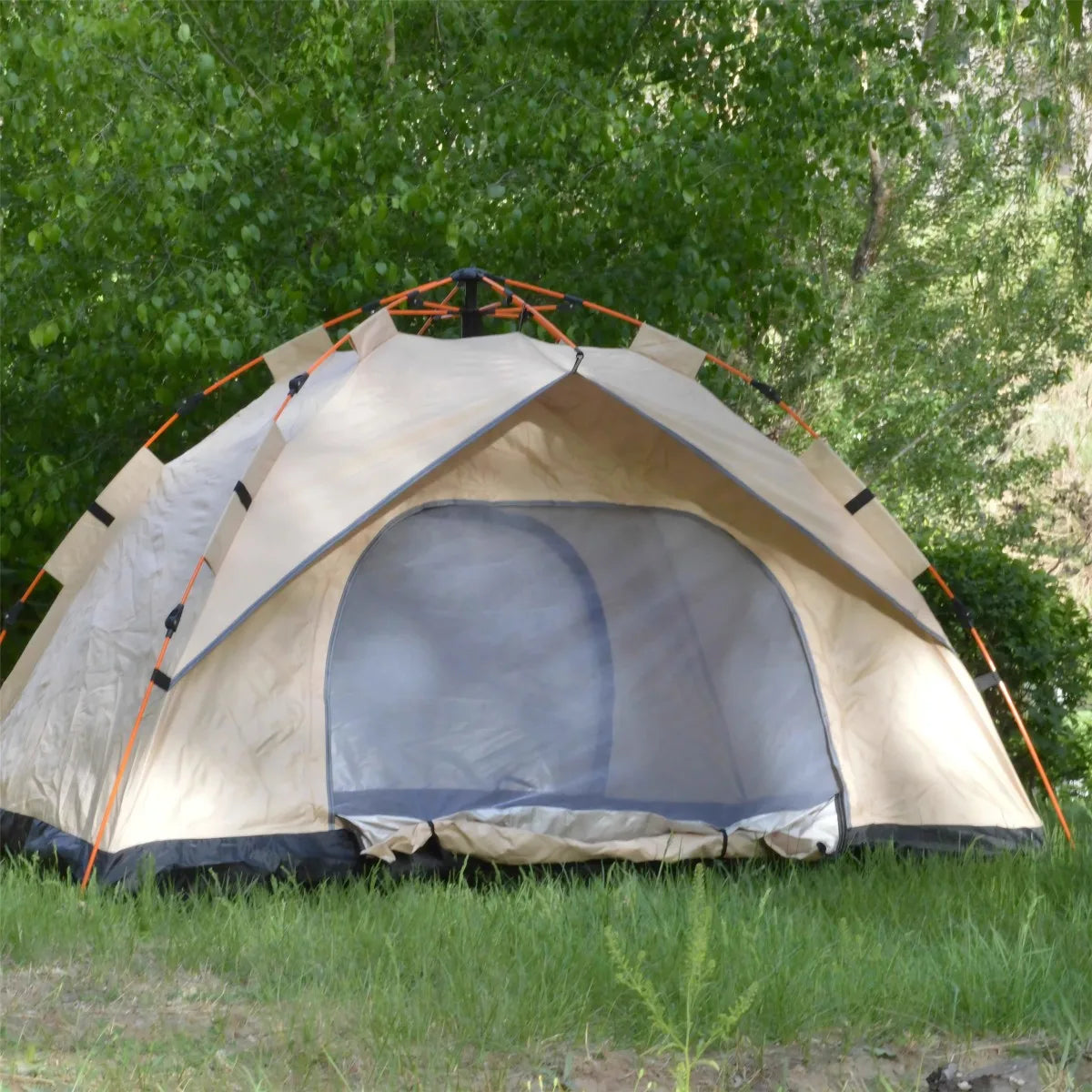 Pakicetus Outdoor Automatic Tent With Quick Opening Rainproof Two Door