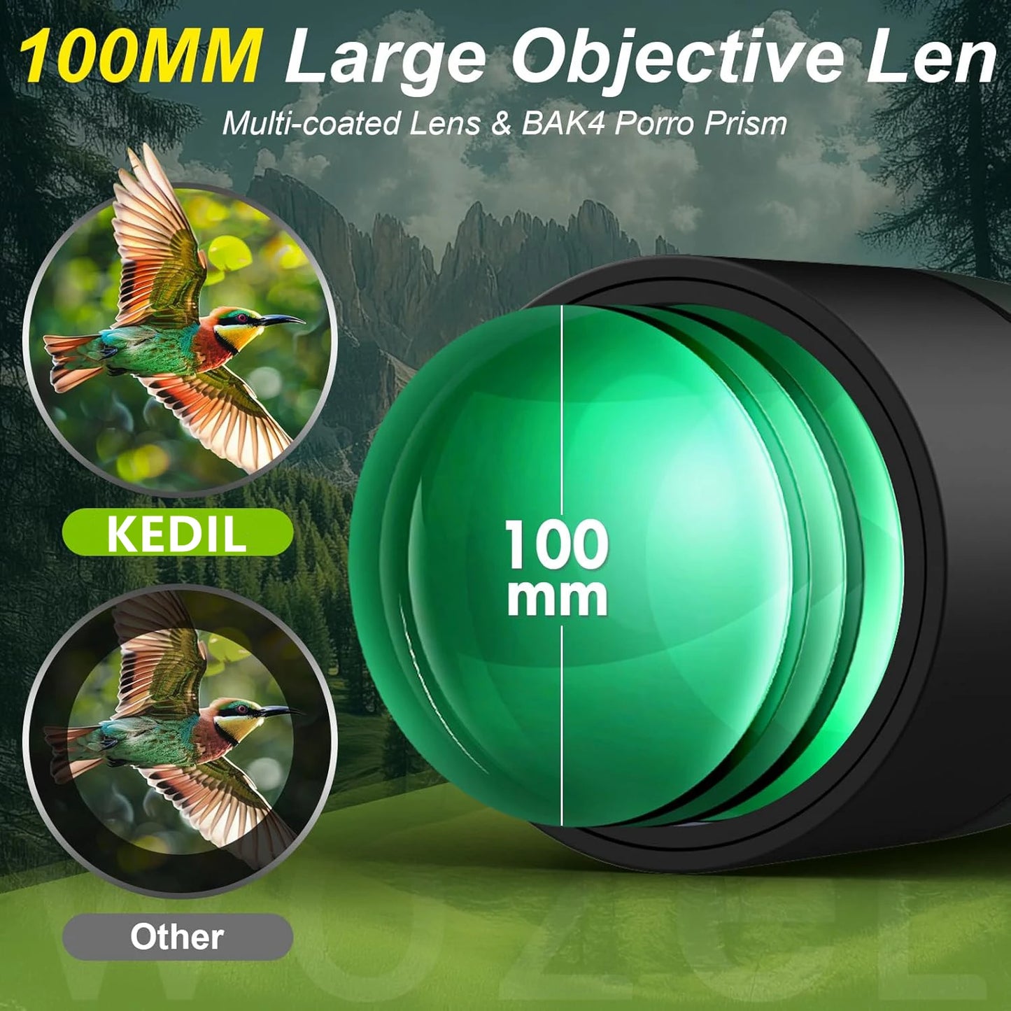 KEDIL Angled Spotting Scope With Tripod Phone Adapter